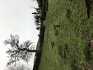 Filename : C5502674-C49B-4AF3-978D-5B406D86D0CD.jpeg
Filesize : 485KB
Dimensions : 1280x958
Date added : Dec 01, 2019 C5502674-C49B-4AF3-978D-5B406D86D0CD.jpeg
