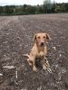 Filename : CF791169-1176-4755-A23F-3094950D48D3.jpeg
Filesize : 2314KB
Dimensions : 1750x2333
Date added : Oct 13, 2018 CF791169-1176-4755-A23F-3094950D48D3.jpeg