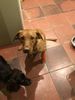 Filename : FB22BFA1-A0C9-4968-B615-37B7D1877333.jpeg
Filesize : 1203KB
Dimensions : 1750x2333
Date added : Jan 14, 2021 FB22BFA1-A0C9-4968-B615-37B7D1877333.jpeg