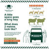 Filename : Landy.jpg
Filesize : 880KB
Dimensions : 1750x1750
Date added : May 18, 2020 Landy.jpg