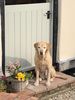 Filename : image~0.jpg
Filesize : 731KB
Dimensions : 1750x2333
Date added : Apr 12, 2020 image~0.jpg
