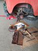 Filename : 20210703_180100.jpg
Filesize : 1403KB
Dimensions : 1750x2333
Date added : Jul 03, 2021 20210703_180100.jpg