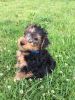 Filename : IMG_0721.JPG
Filesize : 148KB
Dimensions : 540x720
Date added : May 31, 2017 IMG_0721.JPG