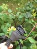 Filename : IMG_1251.JPG
Filesize : 681KB
Dimensions : 1750x2333
Date added : Jul 22, 2017 IMG_1251.JPG