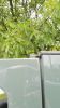 Filename : IMG_20160719_130304.jpg
Filesize : 1032KB
Dimensions : 1750x3116
Date added : Jul 22, 2016 IMG_20160719_130304.jpg