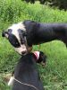 Filename : IMG_0551_.jpg
Filesize : 435KB
Dimensions : 1224x1632
Date added : Mar 07, 2017 IMG_0551_.jpg
