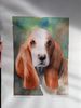 Filename : 36C75934-F490-4435-8CCA-13F1F6A0A2A6.jpeg
Filesize : 646KB
Dimensions : 1750x2333
Date added : Aug 08, 2023 36C75934-F490-4435-8CCA-13F1F6A0A2A6.jpeg
