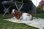 Filename : DSC02106.jpg
Filesize : 297KB
Dimensions : 1750x1167
Date added : Jul 20, 2019 DSC02106.jpg