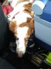 Filename : IMG_20190702_115715545_BURST000_COVER_TOP.jpeg
Filesize : 757KB
Dimensions : 1750x2333
Date added : Jul 20, 2019 IMG_20190702_115715545_BURST000_COVER_TOP.jpeg