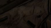 A93ABAD7-D1C4-4081-AA80-DFAB5D0F2FD5.jpeg