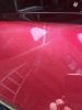 Filename : image~18.jpeg
Filesize : 928KB
Dimensions : 1750x2333
Date added : May 26, 2016 image~18.jpeg