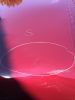 Filename : image~19.jpeg
Filesize : 708KB
Dimensions : 1750x2333
Date added : May 26, 2016 image~19.jpeg