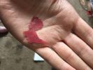 Filename : image~3.jpeg
Filesize : 409KB
Dimensions : 1750x1312
Date added : May 21, 2016 image~3.jpeg