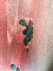Filename : image~6.jpeg
Filesize : 1191KB
Dimensions : 1750x2333
Date added : May 21, 2016 image~6.jpeg