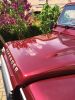 Filename : image~8.jpeg
Filesize : 1108KB
Dimensions : 1750x2333
Date added : May 26, 2016 image~8.jpeg