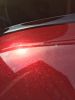 Filename : image~9.jpeg
Filesize : 642KB
Dimensions : 1750x2333
Date added : May 26, 2016 image~9.jpeg