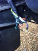Filename : IMG_9134.JPG
Filesize : 786KB
Dimensions : 1750x2333
Date added : Jul 17, 2017 IMG_9134.JPG