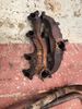 Filename : 110+V8+Original+Manifolds.jpg
Filesize : 360KB
Dimensions : 1200x1600
Date added : May 25, 2024 110+V8+Original+Manifolds.jpg