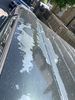IMG_8399.jpeg