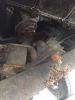 Filename : IMG_3228.JPG
Filesize : 509KB
Dimensions : 1224x1632
Date added : Jun 13, 2017 IMG_3228.JPG