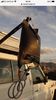 Filename : 6CEAECF5-D725-47B8-8931-D9F13B4CF425.jpeg
Filesize : 213KB
Dimensions : 750x1334
Date added : Aug 11, 2021 6CEAECF5-D725-47B8-8931-D9F13B4CF425.jpeg