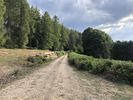 Filename : 75B7D75F-1CB0-4689-B5E4-B9F6DC1AE15B.jpeg
Filesize : 1266KB
Dimensions : 1750x1313
Date added : Sep 09, 2021 75B7D75F-1CB0-4689-B5E4-B9F6DC1AE15B.jpeg