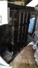 Filename : 136.jpg
Filesize : 838KB
Dimensions : 1750x3111
Date added : Jul 29, 2016 136.jpg