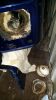 Filename : 260.jpg
Filesize : 500KB
Dimensions : 1152x2048
Date added : May 15, 2017 260.jpg