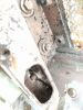 Filename : IMG_20170605_145614.jpg
Filesize : 565KB
Dimensions : 1512x2016
Date added : Jun 05, 2017 IMG_20170605_145614.jpg