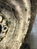 Filename : C99E15CB-CFDD-47D4-8513-B7526A65FFAB.jpeg
Filesize : 1884KB
Dimensions : 1750x2333
Date added : May 07, 2018 C99E15CB-CFDD-47D4-8513-B7526A65FFAB.jpeg