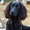 Filename : Pepper1.jpg
Filesize : 86KB
Dimensions : 1080x1080
Date added : Nov 20, 2019 Pepper1.jpg