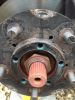 Filename : IMG_5238.JPG
Filesize : 116KB
Dimensions : 480x640
Date added : Nov 07, 2016 IMG_5238.JPG
