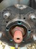 Filename : IMG_5238~0.JPG
Filesize : 1174KB
Dimensions : 1750x2333
Date added : Feb 09, 2017 IMG_5238~0.JPG