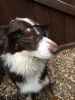 Filename : IMG_6613.JPG
Filesize : 862KB
Dimensions : 1750x2333
Date added : Feb 18, 2017 IMG_6613.JPG