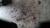 Filename : 20190303_160027.jpg
Filesize : 649KB
Dimensions : 1750x987
Date added : Mar 08, 2019 20190303_160027.jpg
