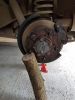 Filename : 20170916_172204.jpg
Filesize : 1057KB
Dimensions : 1750x2333
Date added : Sep 16, 2017 20170916_172204.jpg
