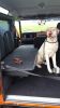 Filename : 20170917_103624.jpg
Filesize : 1059KB
Dimensions : 1750x3111
Date added : Sep 18, 2017 20170917_103624.jpg