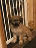 Filename : Flo.jpg
Filesize : 451KB
Dimensions : 1512x2016
Date added : Dec 20, 2017 Flo.jpg