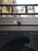 Filename : camera fitted 2~0.jpg
Filesize : 78KB
Dimensions : 575x768
Date added : Mar 03, 2017 camera fitted 2~0.jpg