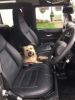 Filename : dog in truck.jpg
Filesize : 20KB
Dimensions : 240x320
Date added : Aug 11, 2017 dog in truck.jpg