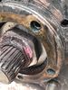 Filename : F44343B5-71B7-419C-A8A2-E27DA75EC4B1.jpeg
Filesize : 1394KB
Dimensions : 1750x2333
Date added : Jul 13, 2019 F44343B5-71B7-419C-A8A2-E27DA75EC4B1.jpeg