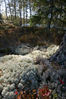 Filename : P1030156.jpeg
Filesize : 1584KB
Dimensions : 854x1280
Date added : Oct 05, 2024 P1030156.jpeg