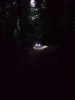 Filename : 20180608_213906.jpg
Filesize : 699KB
Dimensions : 1750x2333
Date added : Jun 09, 2018 20180608_213906.jpg