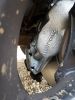 Filename : 20180823_173231.jpg
Filesize : 1372KB
Dimensions : 1750x2333
Date added : Aug 23, 2018 20180823_173231.jpg