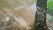 Filename : 20180915_135948.jpg
Filesize : 656KB
Dimensions : 1750x984
Date added : Sep 15, 2018 20180915_135948.jpg