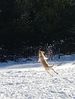 Filename : 20190202_124941.jpg
Filesize : 1690KB
Dimensions : 1750x2317
Date added : Feb 02, 2019 20190202_124941.jpg