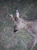 Filename : 20190422_211429.jpg
Filesize : 2051KB
Dimensions : 1750x2333
Date added : Apr 23, 2019 20190422_211429.jpg