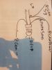 Filename : 20171012_210900.jpg
Filesize : 609KB
Dimensions : 1750x2333
Date added : Oct 12, 2017 20171012_210900.jpg