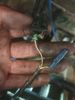 Filename : 20190709_113429.jpg
Filesize : 556KB
Dimensions : 1750x2333
Date added : Sep 23, 2019 20190709_113429.jpg