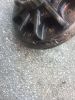 Filename : IMG_4404.JPG
Filesize : 1022KB
Dimensions : 1750x2333
Date added : Aug 12, 2017 IMG_4404.JPG